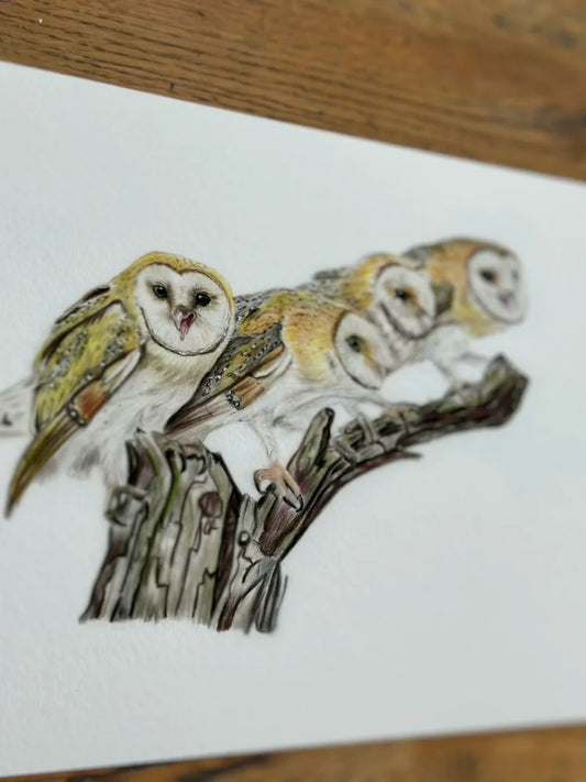 A Parliament of Owls – Owl Art Print | Limited Edition Giclée on Fine Art Paper