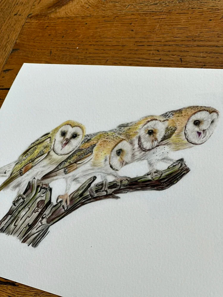 A Parliament of Owls – Owl Art Print | Limited Edition Giclée on Fine Art Paper