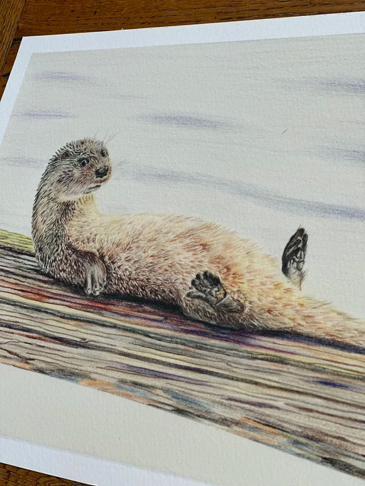 "Otterly Laid Back" – Otter Portrait Art Print | Limited Edition Wildlife Drawing