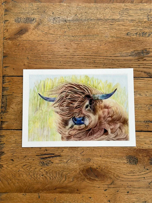"Wind in My Hair" – Highland Cow Art Print | Limited Edition Farm Animal Drawing
