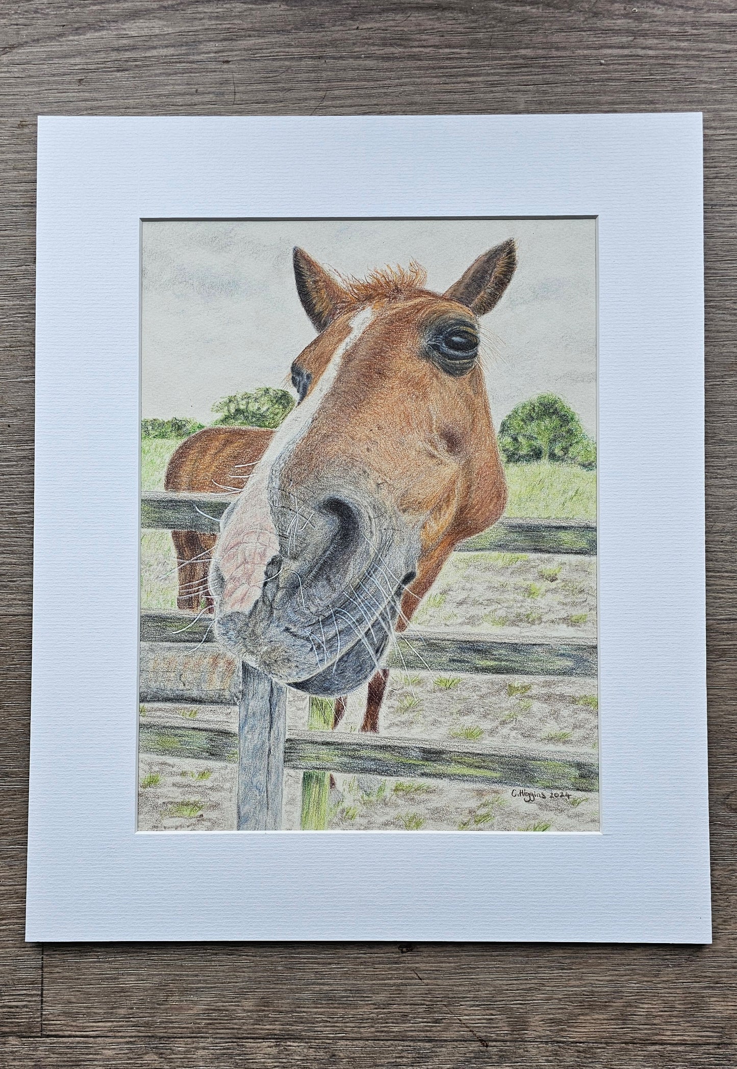 Is this my good side? - Horse Artwork