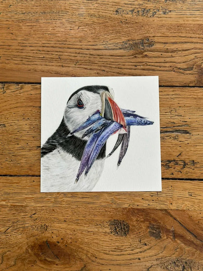 Puffin – Coastal Bird Art Print | Limited Edition Giclée on Fine Art Paper