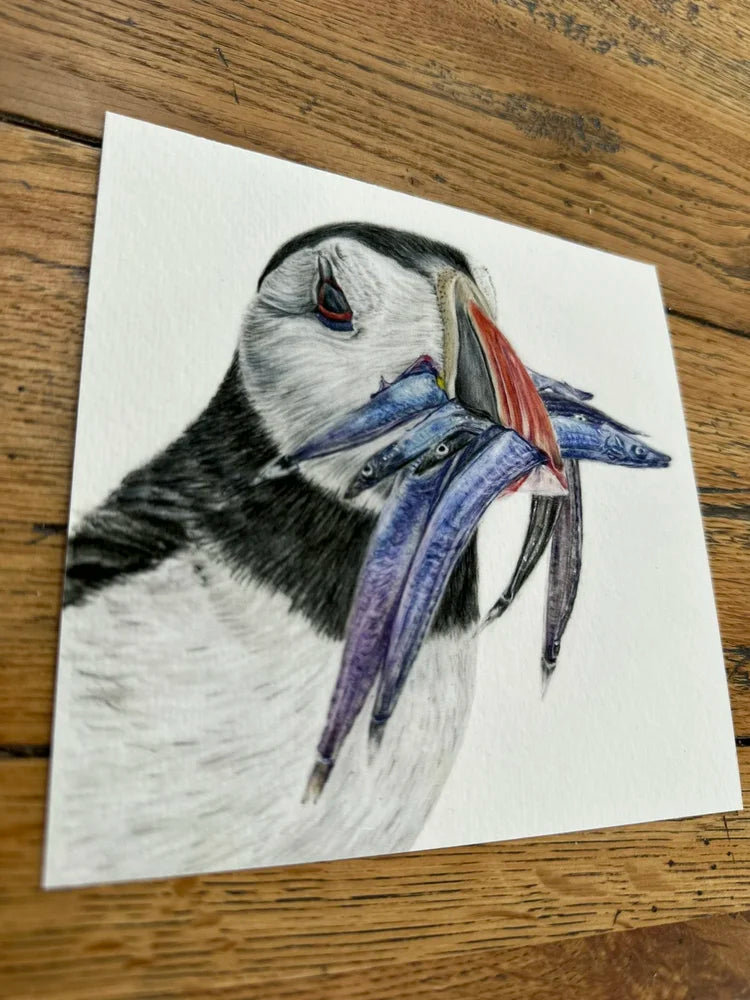 Puffin – Coastal Bird Art Print | Limited Edition Giclée on Fine Art Paper