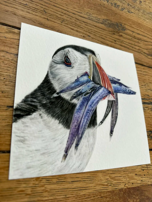 Puffin – Coastal Bird Art Print | Limited Edition Giclée on Fine Art Paper