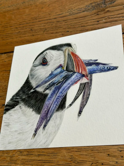 Puffin – Coastal Bird Art Print | Limited Edition Giclée on Fine Art Paper