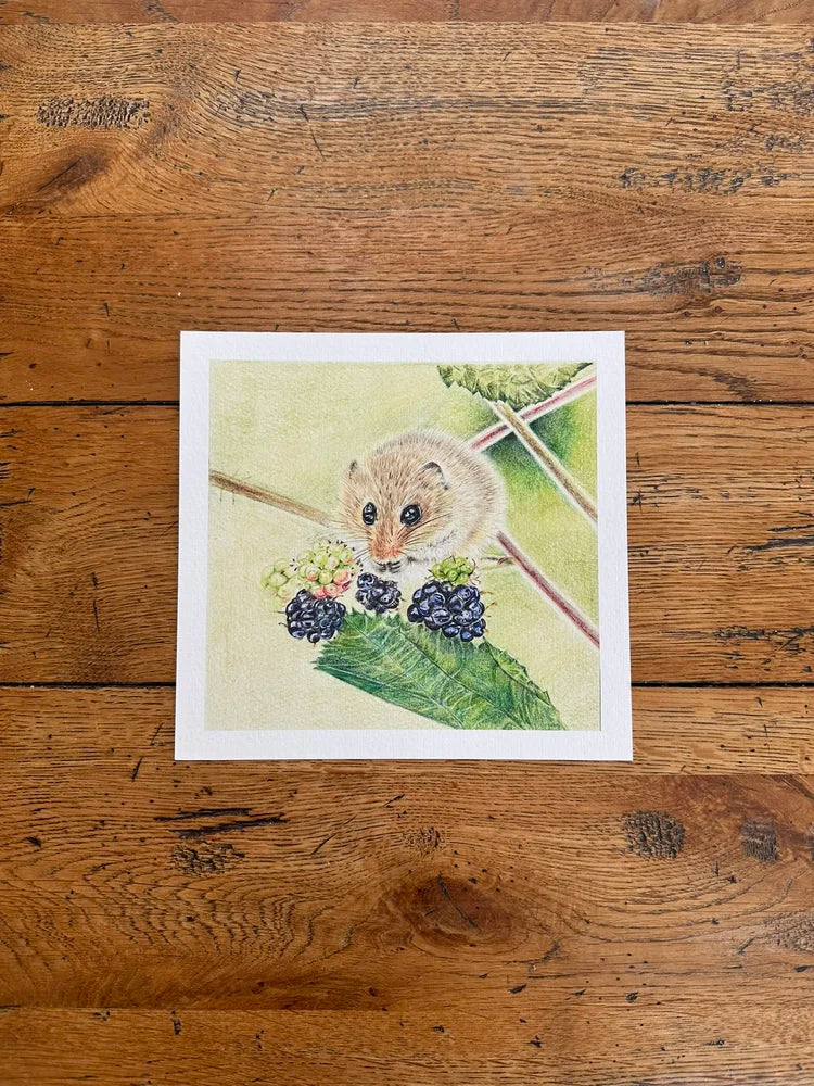 Field Mouse – Fine Art Giclée Print | Limited Edition Wildlife Drawing