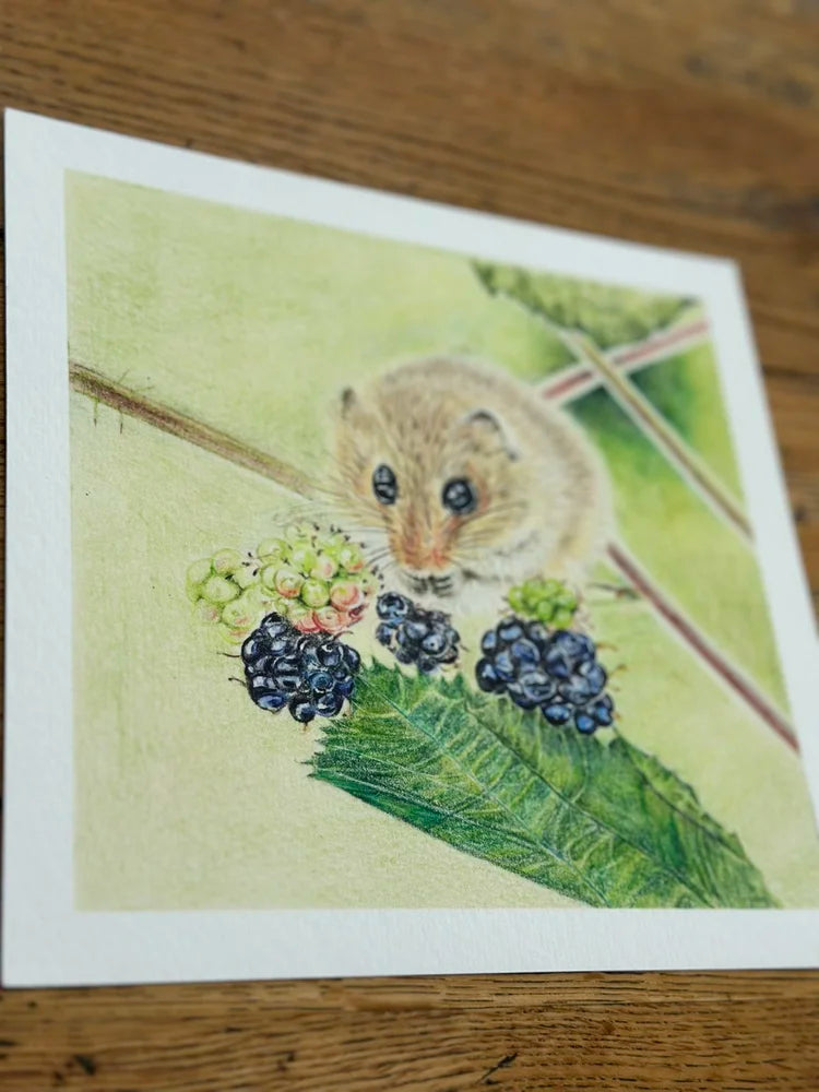 Field Mouse – Fine Art Giclée Print | Limited Edition Wildlife Drawing