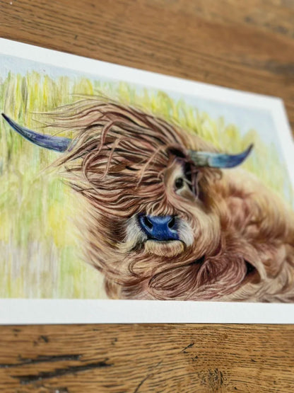 "Wind in My Hair" – Highland Cow Art Print | Limited Edition Farm Animal Drawing