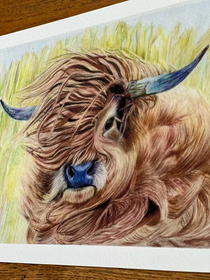 "Wind in My Hair" – Highland Cow Art Print | Limited Edition Farm Animal Drawing