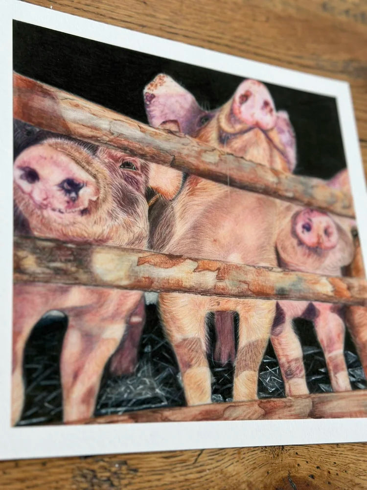 This Little Piggy – Pig Art Print | Limited Edition Giclée on Fine Art Paper