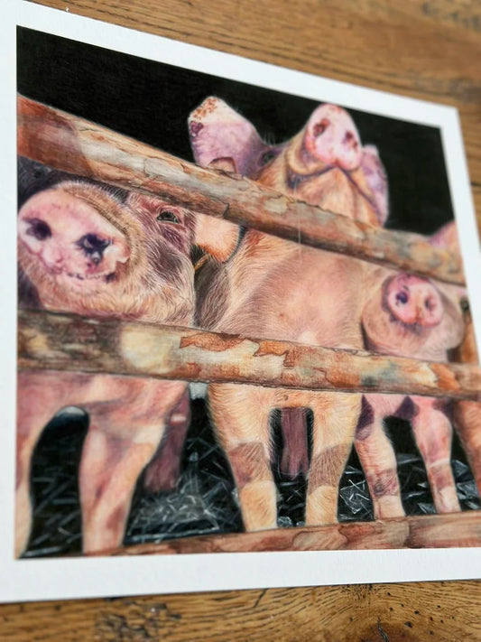 This Little Piggy – Pig Art Print | Limited Edition Giclée on Fine Art Paper