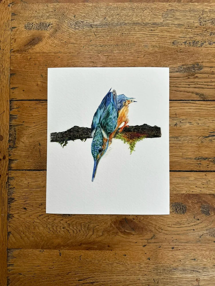 Kingfisher – Bird Art Print | Limited Edition Giclée on Fine Art Paper