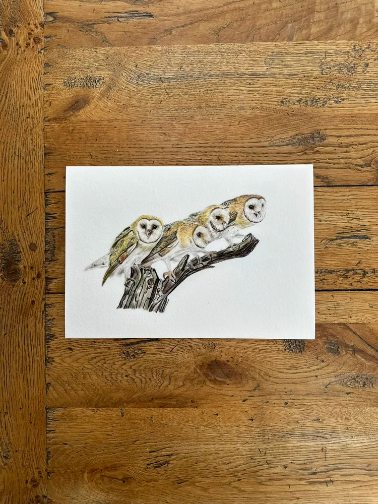 A Parliament of Owls – Owl Art Print | Limited Edition Giclée on Fine Art Paper