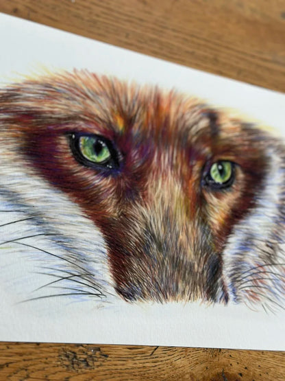 Cunning – Fox Art Print | Limited Edition Giclée on Fine Art Paper