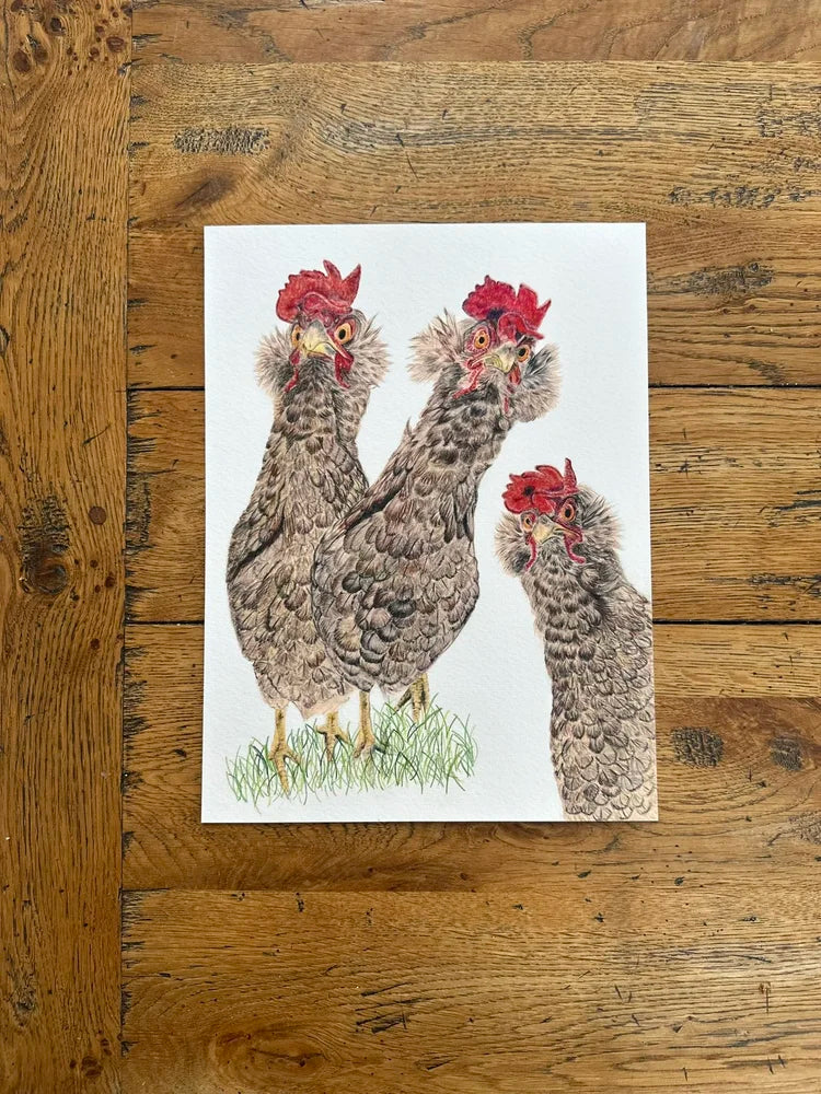 Gossip Girls – Hen Art Print | Limited Edition Giclée on Fine Art Paper