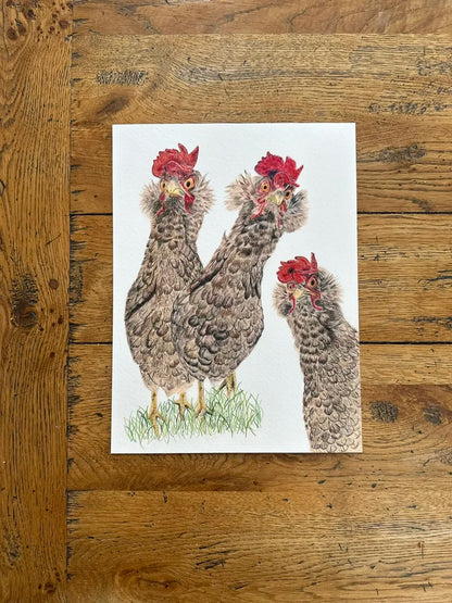 Gossip Girls – Hen Art Print | Limited Edition Giclée on Fine Art Paper