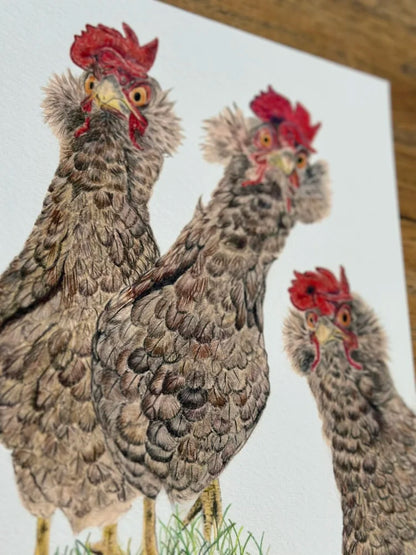 Gossip Girls – Hen Art Print | Limited Edition Giclée on Fine Art Paper