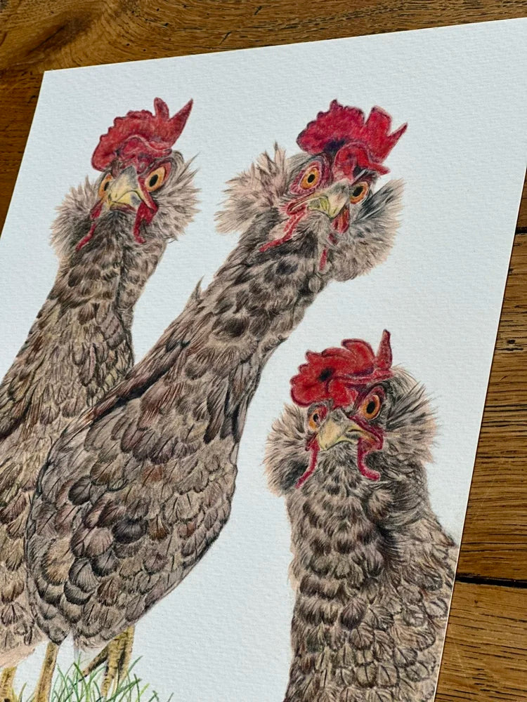 Gossip Girls – Hen Art Print | Limited Edition Giclée on Fine Art Paper